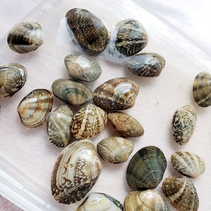 あさりの塩抜き 砂抜き レシピ 作り方 By ゆかんち 楽天レシピ あさりの塩抜き 砂抜き レシピ 作り方 By ゆかんち 楽天レシピ